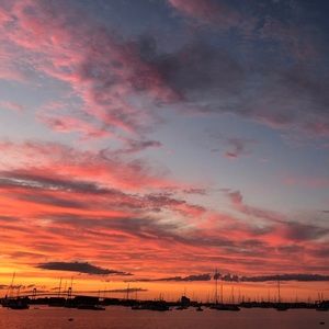 Meet your Posher, Evy